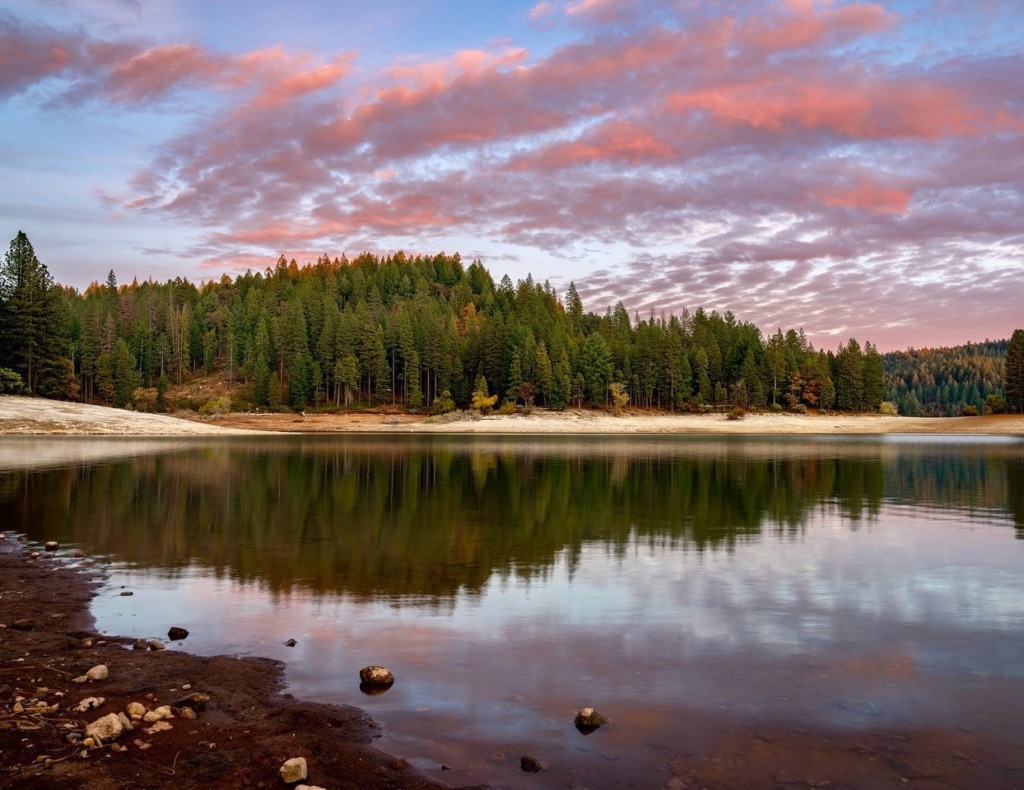 Jenkinson Lake surrounded by pine forest