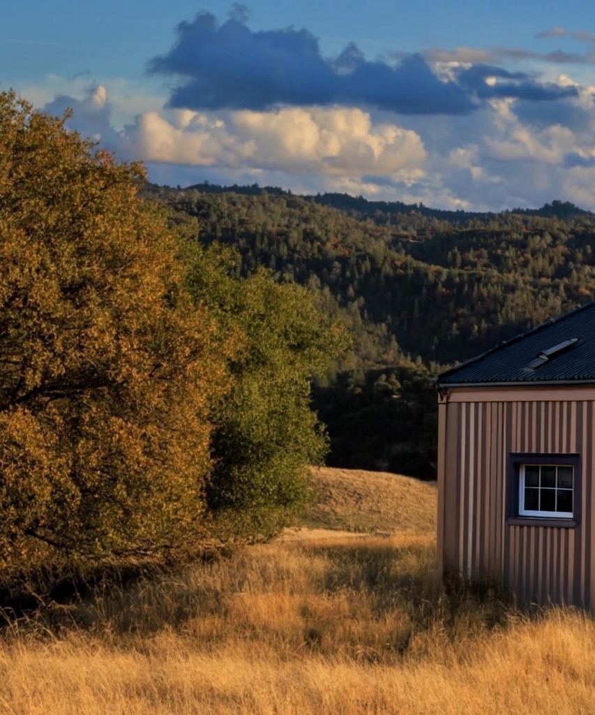 Sunlit open field with oaks in the Sierra Nevada foothills